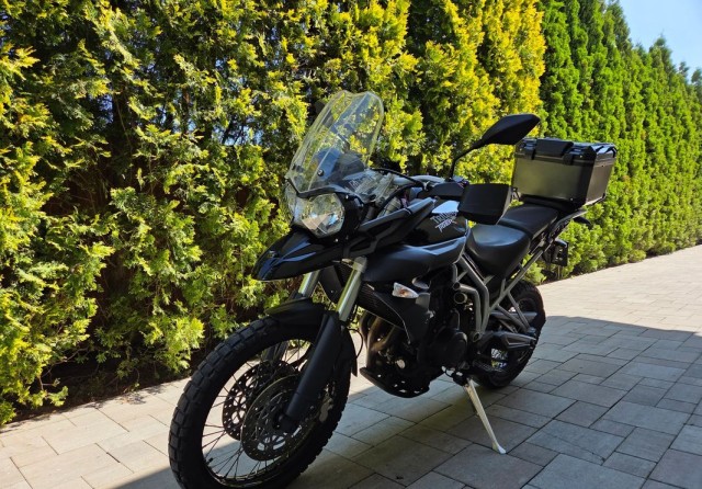 triumph