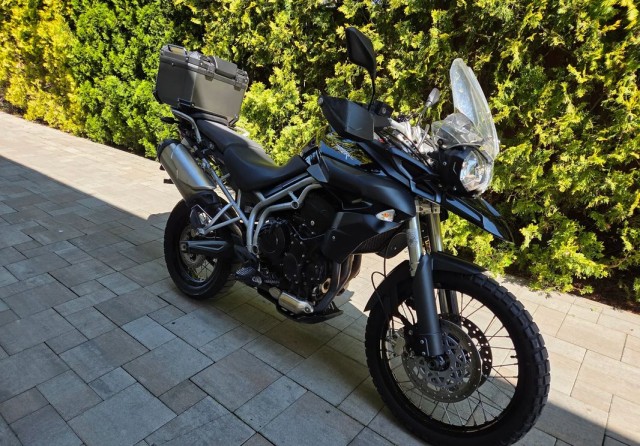 triumph